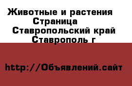  Животные и растения - Страница 35 . Ставропольский край,Ставрополь г.